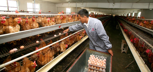 打造品牌優(yōu)勢，推動特色農(nóng)產(chǎn)品上行 農(nóng)產(chǎn)品生產(chǎn)端的戰(zhàn)略思維